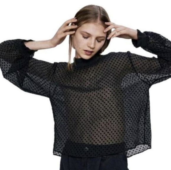 Zara Sheer Polka Dot Crinkle Mock Neck Blouse - Picture 1 of 6
